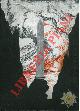 Click to enlarge 1530891409,