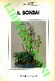  -, Il bonsai.