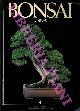  -, Bonsai & news. Periodico d'informazione del'arte bonsai.