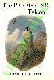 Click to enlarge 1551833068,