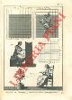  Encyclopedie méthodique - Dictionnaire des Manufactures & Arts par R. de la Platière -, Tapis, tapisserie, tapissier. T. de Turquie, T. de haute-lisse des Gobelins et de basse-lisse des Gobelins, Tapissier.