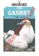  NELSON Bryan -, The gannet.