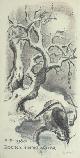  Knobloch, Bohuslav., P.F. 1980 Rodina Sindelarova.