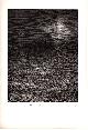 Click to enlarge 1565141213,