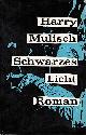  MULISCH, Harry, Schwarzes Licht. Roman.