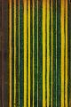 Click to enlarge 1510823092,