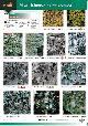 Dobson, F.S., Urban lichens 1 (on trees and wood) (Identification Chart)