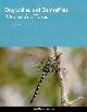  Abbott, J.C., Dragonflies and Damselflies (Odonata) of Texas. Vol. 2