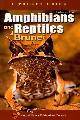  Das, I., A Pocket Guide: Amphibians and Reptiles of Brunei
