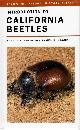  Evans, A.V.; Hogue, J.N., Introduction to California Beetles