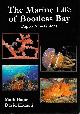  Baine, M.; Harasti, D., The Marine Life of Bootless Bay, Papua New Guinea