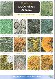  Dobson, F.S., Guide to rocky shore lichens (Identification Chart)