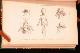  Isidore Geoffroy Saint-Hilaire, Histoire Generale Et Particuliere Des Anomalies de L&Apos;Organisation Chez L&Apos;Homme Et Les Animaux Atlas Contenant 20 Planches Avec Leur Explication, Et Table Generale Des Matieres