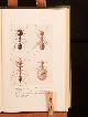  Sir John Lubbock, Ants Bees and Wasps a Record of Observations on the Habits of the Social Hymenoptera