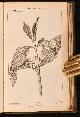  Robert John Thornton, A Grammar of Botany; Containing an Explanation of the System of Linnaeus