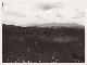  Bamenda (Region / Westkamerun). -, 4 Original-Photographien mit Bezug zur deutschen Kolonialzeit in Kamerun. Historische Photographien mit Ansichten einer Siedlung und landschaftlichen Umgebung.