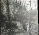 9789065790743 Wout Berger 66366, Giflandschap. Poisoned landscape