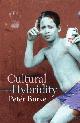 9780745646978 Peter Burke 25822, Cultural Hybridity