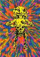9780978972264 Brian Chippendale 208410, Maggots