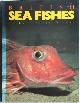 0946020132 Frances Dipper 254522, British Sea Fishes