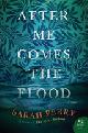 9780062666406 Sarah Perry 143599, After Me Comes the Flood