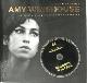 9789036636056 , Amy Winehouse The Icon Series. De stem die nooit zal worden vergeten