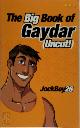 9781846245053 Jockboy 26, Big Book of Gaydar Uncut!