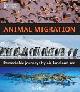 9780565092436 Ben Hoare 138258, Animal Migration