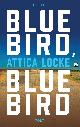 9789021416489 Attica Locke 174663, Bluebird, bluebird