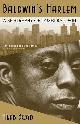 9780743293075 Herb Boyd 132153, Baldwin's Harlem. A biography of James Baldwin