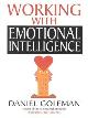 9780747543848 Daniel Goleman 42464, Working with Emotional Intelligence