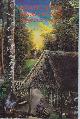 9780961423452 Jonathan Ott 312350, Ayahuasca Analogues