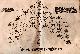 Click to enlarge 1562033394,