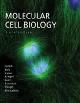 9781429203142 Harvey Lodish 20164, Molecular Cell Biology