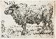  after Paulus Potter (1625-1654) (?), Ets/etching: The Bull [Set: Series of various Oxen and Cows] (De Stier).