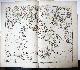  after Riccioli, Giovanni Battista (1598-1671), [Hand colored etching and engraving/handgekleurde ets en gravure kaart van Italië] L'ITALIE (map of Italy).