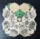  [Souvenir Rose of The Hague], [Paper Art, Souvenir rose, The Hague, ca 1860] Souvenir-Roos van Den Haag, lithography with 28 topographical illustrations, folded in the form of a rose. Total: 25 x 25 cm, folded about 12x6,5 cm. Published by J.C. Adler Hamburg, 1 p.