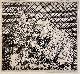 Click to enlarge 1549141544,