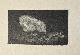  , Antique print duck | Small reproduction print of etching of Ina Rahusen (1895-1977), eendje met worm, 1 p.