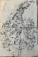  [Family crest Booth], Wapenkaart/Coat of Arms: Original preparatory drawing of Booth Coat of Arms/Family Crest, 1 p.