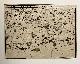  [Map of North France], Cartography | Les Environs d'Amiens, de Corbie, et de Dourlens, Paris [N. de Fer?] 1709, 1 p. Map of Northwest Part of France (Picardie).