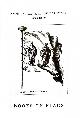 Click to enlarge 1549138432,