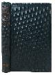  Ansted, David Thomas [1814 - 1880], The GREAT STONE BOOK Of NATURE