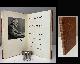  (Robert Frost). Clymer, W. B. Shubbrick, & Green, Charles R., Robert Frost. A Bibliography. Signed by Robert Frost