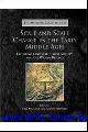  J. Escalona, A. Reynolds (eds.);, Scale and Scale Change in the Early Middle Ages Exploring Landscape, Local Society, and the World Beyond,