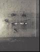  Arhur Barrio, Justo Pastor Mellado, Philippe Van Cauteren, Thibaut Verhoeven, Barrio Beuys ........, Artur Barrio