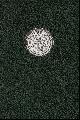 Click to enlarge 1532840793,