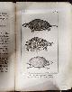  Sonnini, C. S. (Charles Sigisbert), 1751-1812; Latreille, P. A. (Pierre André), 1762-1833, Histoire Naturelle Des Reptiles, Avec Figures Dessinées D'Après Nature / Par C.S. Sonnini Et Par P.A. Latreille . Suites de Buffon. Format in-18. Nouvelle édition. Original Printing