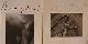  Naegeli, Mignon; Aberhart, Laurence, Photographs by Mignon Naegeli. Nature Morte: 105 Photographs 1971-1989 by Laurence Aberhart