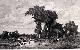  Jules Dupre (Artist); Daumont (Engraver), Pasture at the Edge of the Woods. (First Edition of the Etching. )